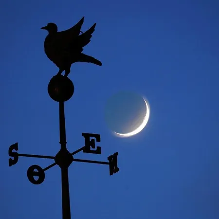 Дом отдыха Chateau Des Lumieres Et Insolite Saint-Blimont