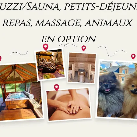 Chateau Des Lumieres Et Insolite