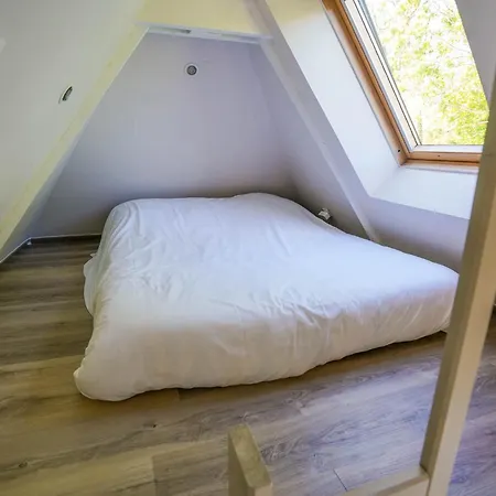 Chateau Des Lumieres Et Insolite